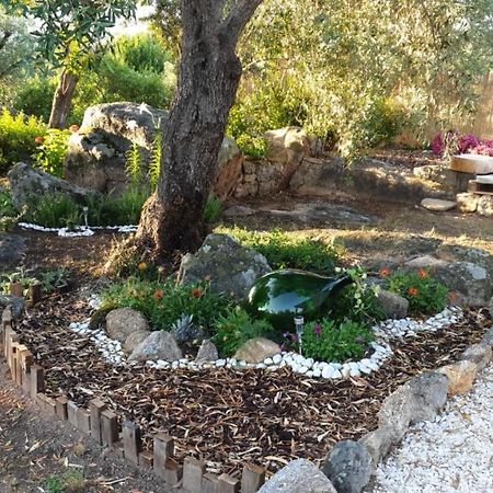 Casa Vacanze Olbia - Alebea - المظهر الخارجي الصورة